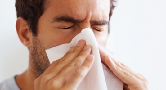 Remedios naturales para la gripe y el resfriado